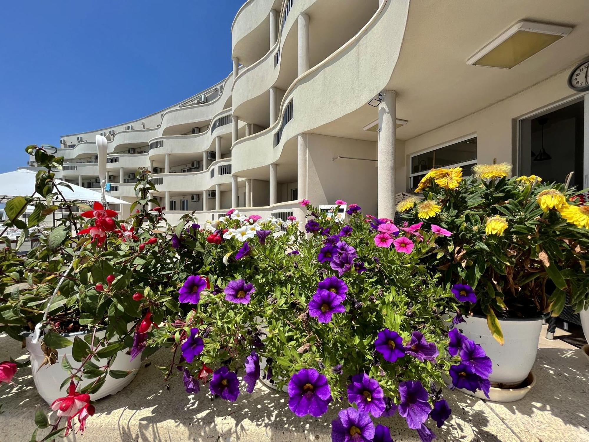 Апартаменти Сънбрийз - Sunbreeze Apartments Bjala Exteriér fotografie